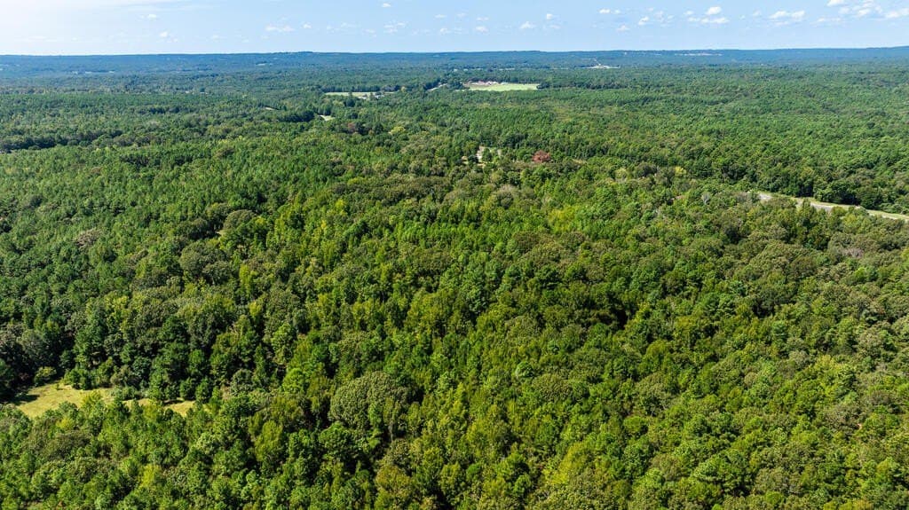 15.75 acres in ANDERSON County - photo 13