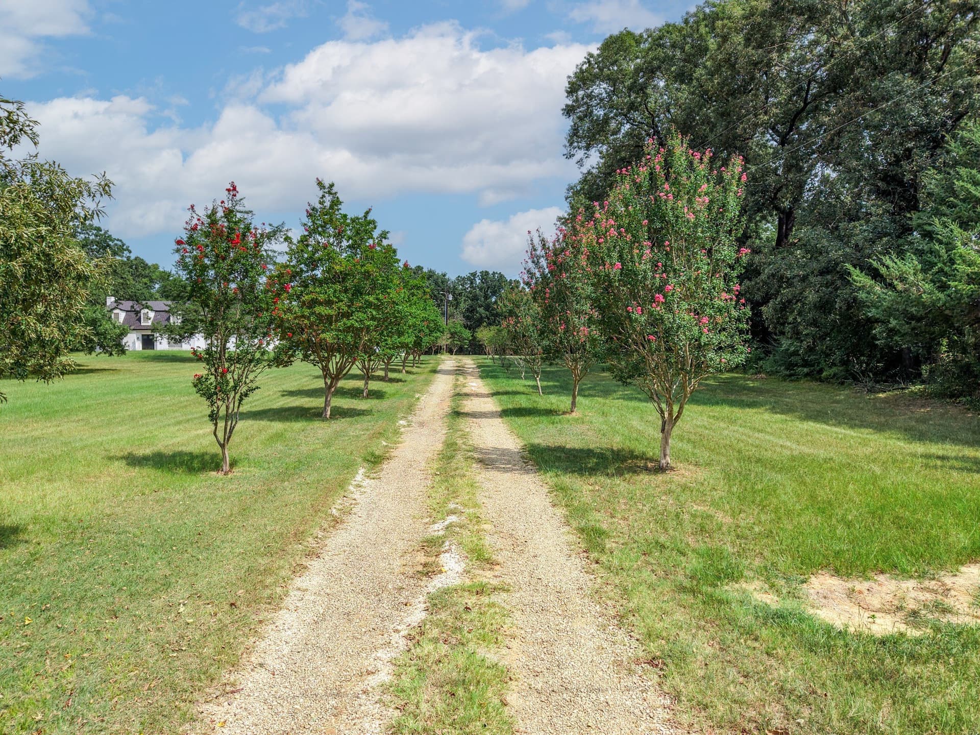10 acres in Hopkins County - photo 39