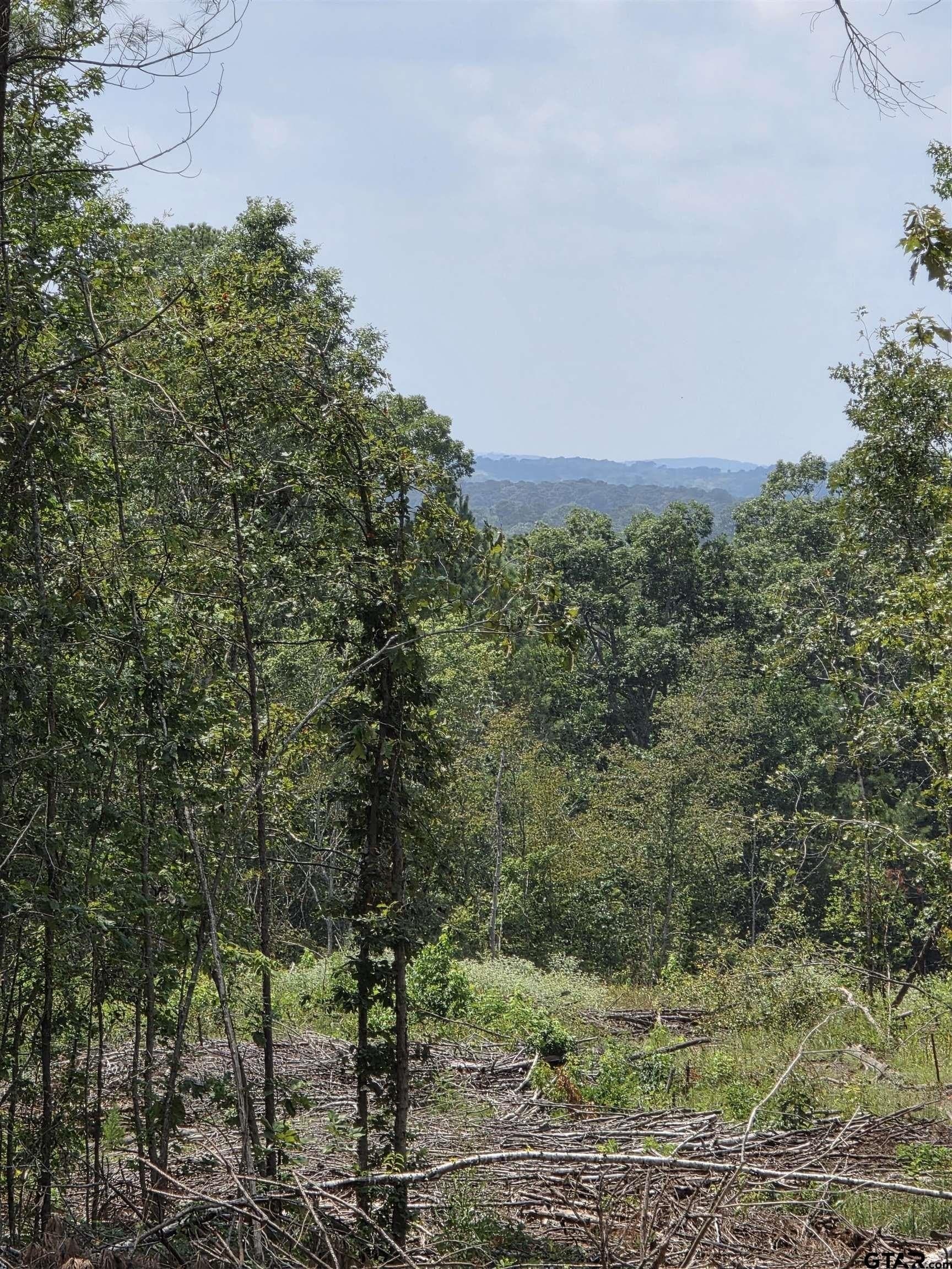 37.52 acres in Rusk County