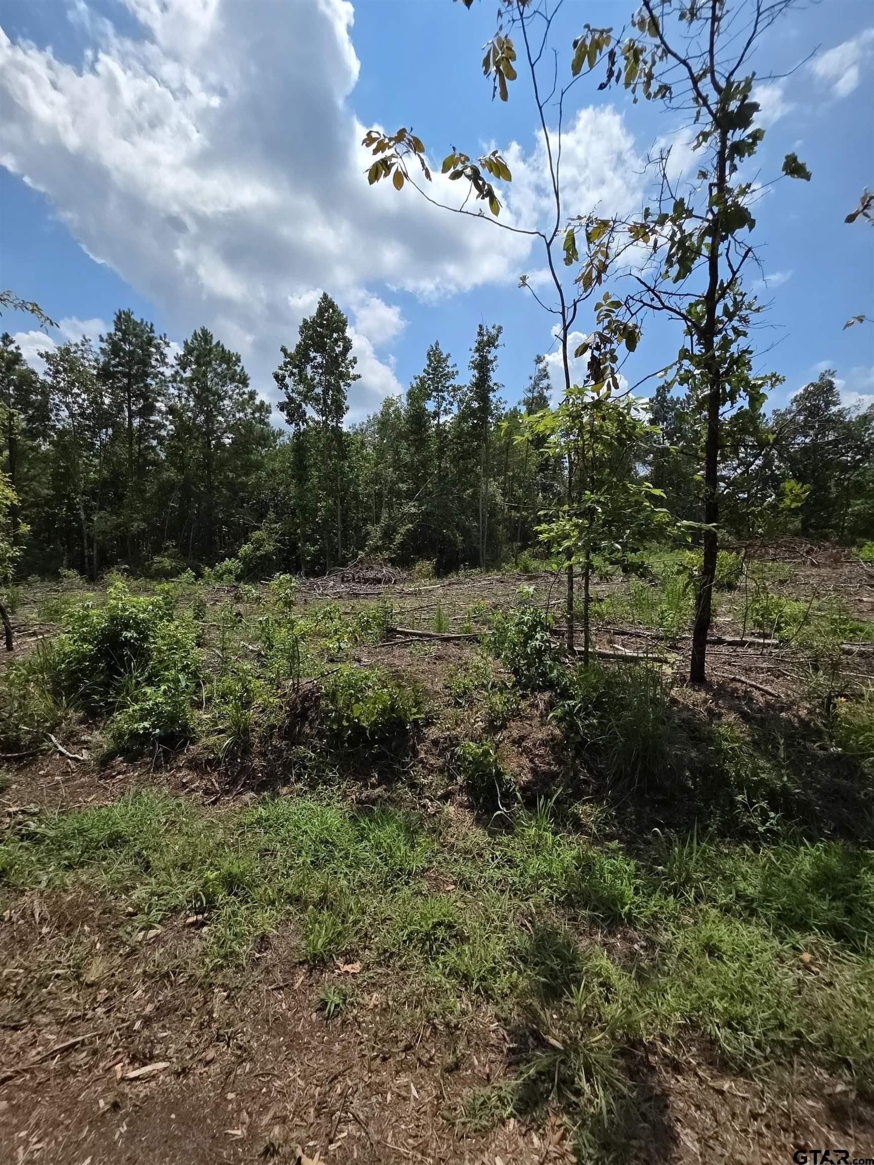 37.52 acres in Rusk County featured view