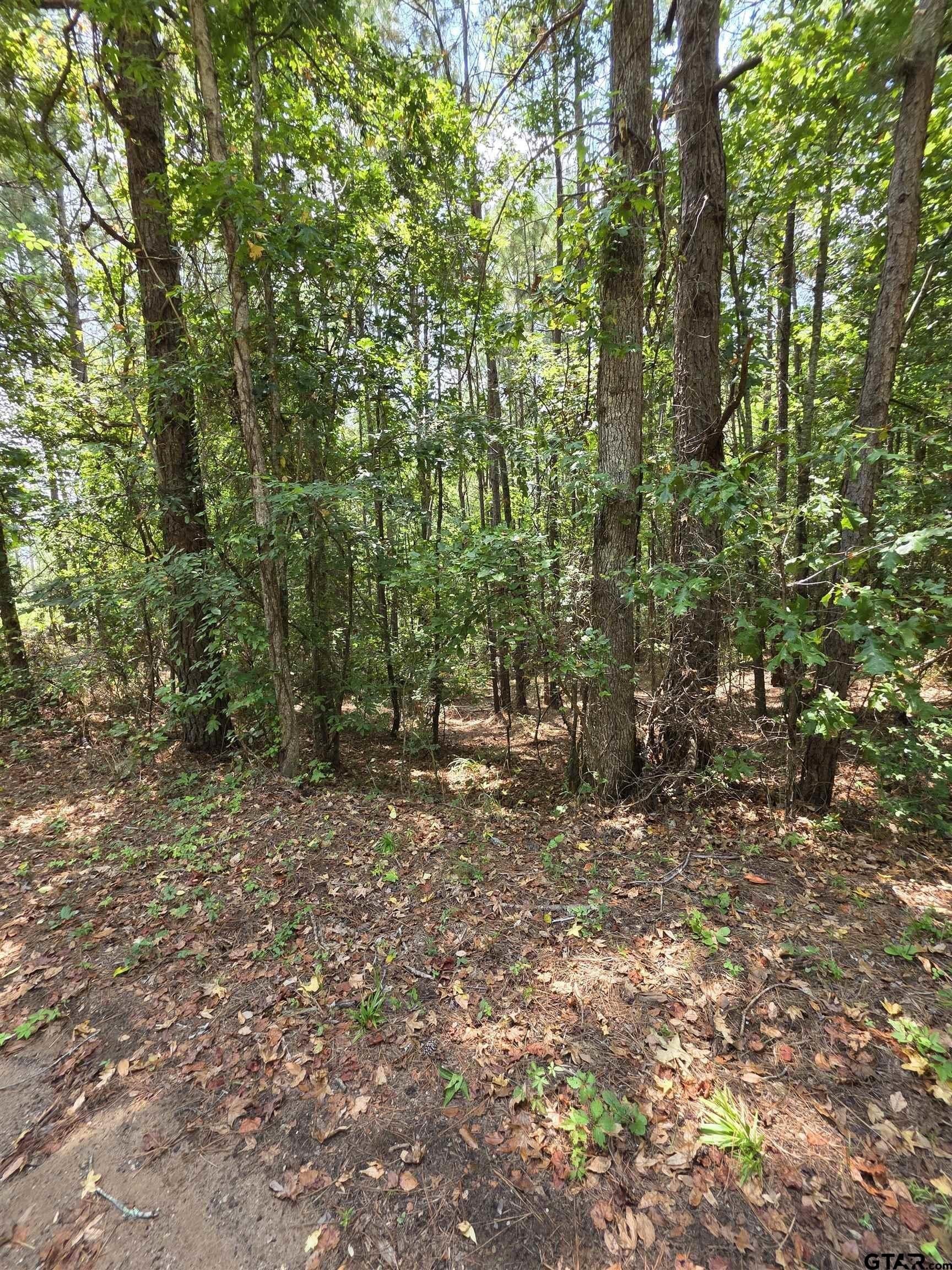 37.52 acres in Rusk County gallery image 3