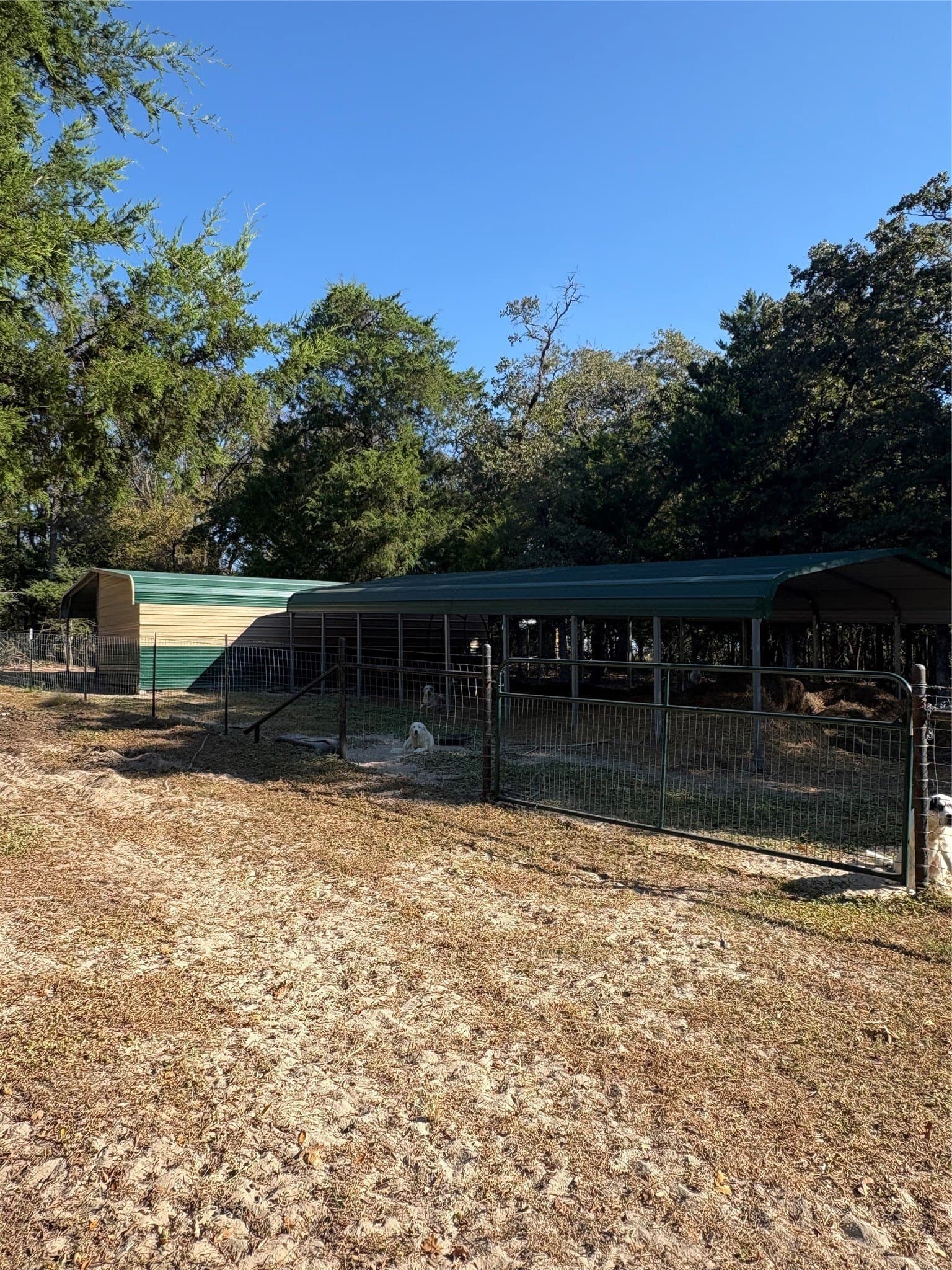 13.4 acres in Limestone County - photo 25