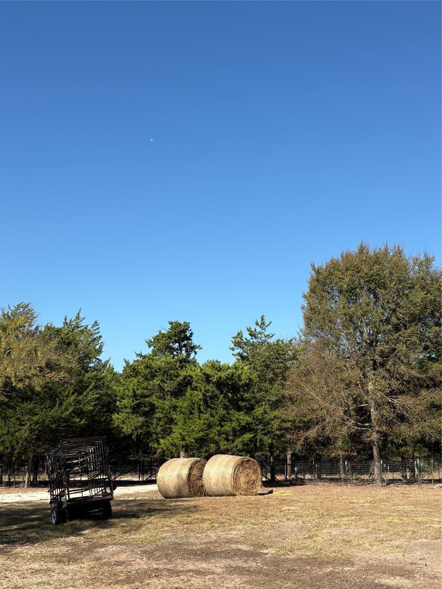 13.4 acres in Limestone County - photo 29
