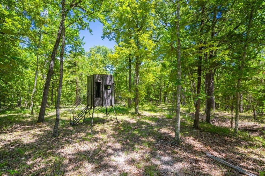 320 acres in Hopkins County - photo 13