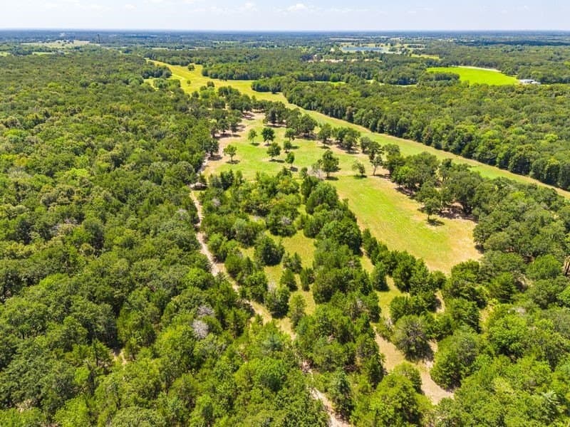 320 acres in Hopkins County - photo 27