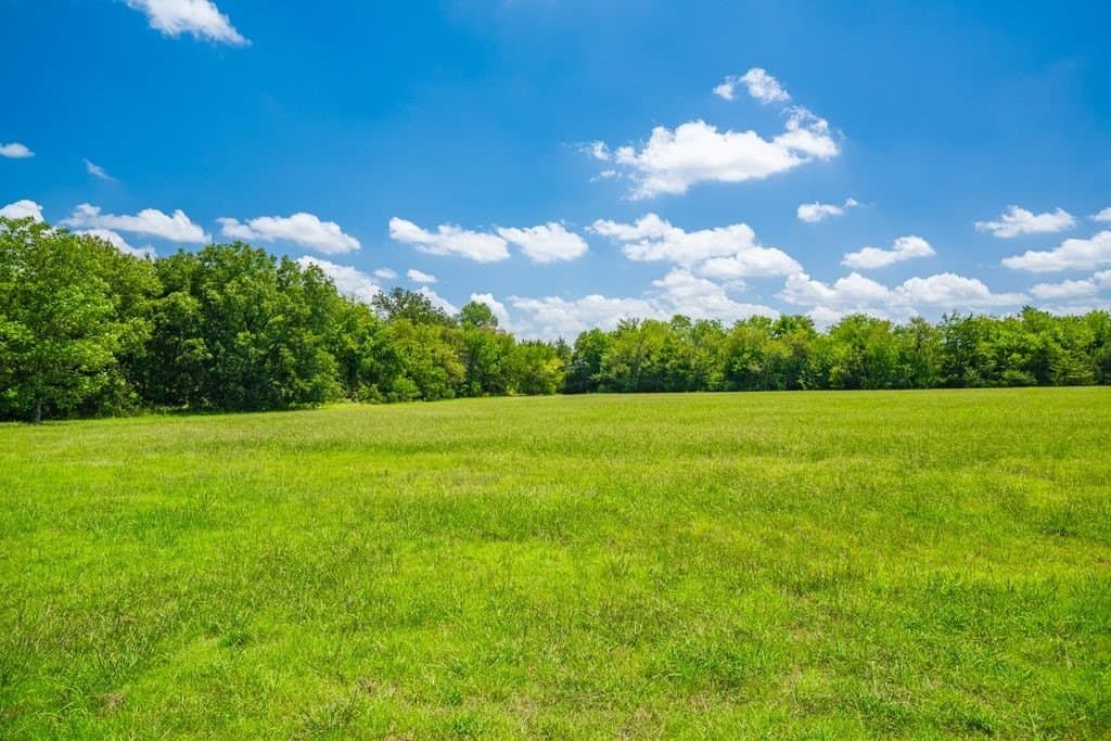 320 acres in Hopkins County - photo 19