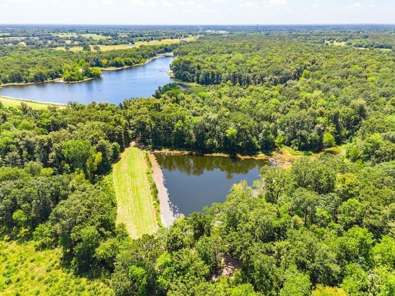 320 acres in Hopkins County - photo 4