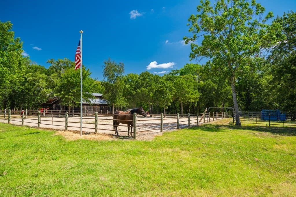 320 acres in Hopkins County - photo 5