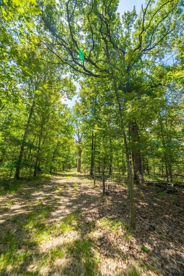 320 acres in Hopkins County - photo 30