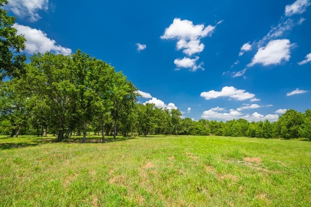 320 acres in Hopkins County - photo 25