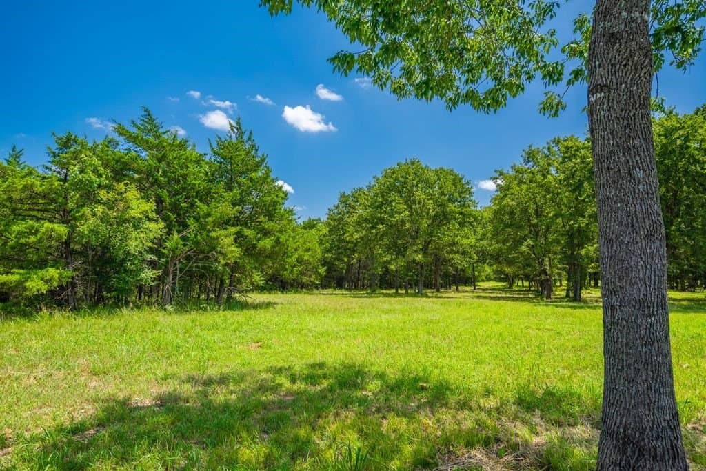 320 acres in Hopkins County - photo 20