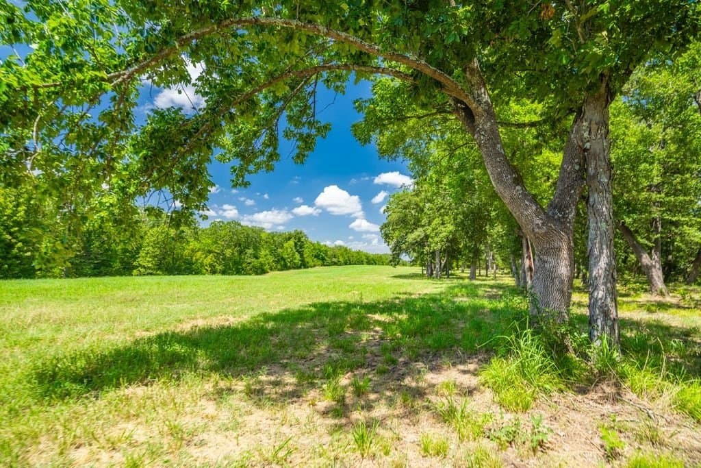 320 acres in Hopkins County - photo 28
