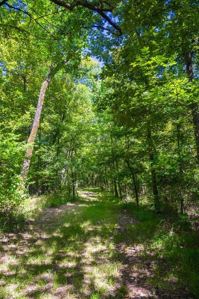 320 acres in Hopkins County - photo 21