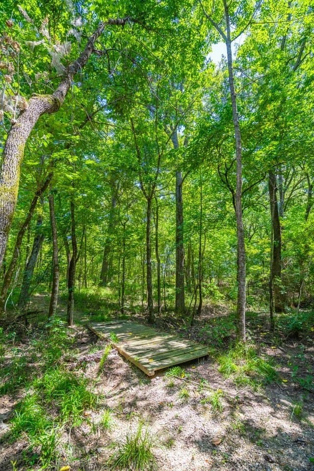 320 acres in Hopkins County - photo 29