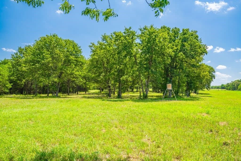 320 acres in Hopkins County - photo 11