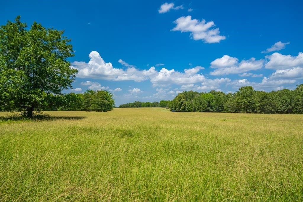320 acres in Hopkins County - photo 12