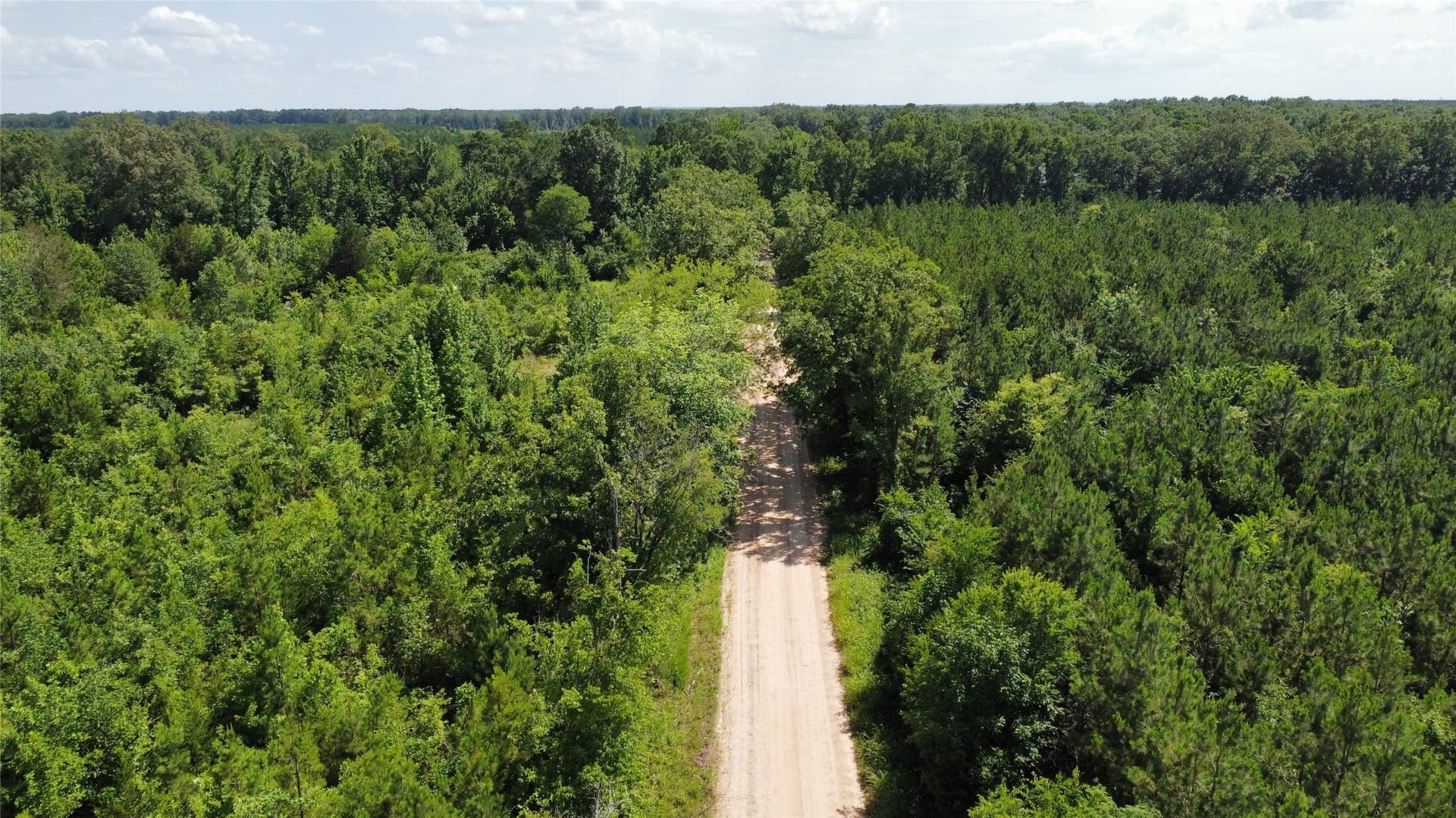 10.02 acres in Bowie County - photo 4