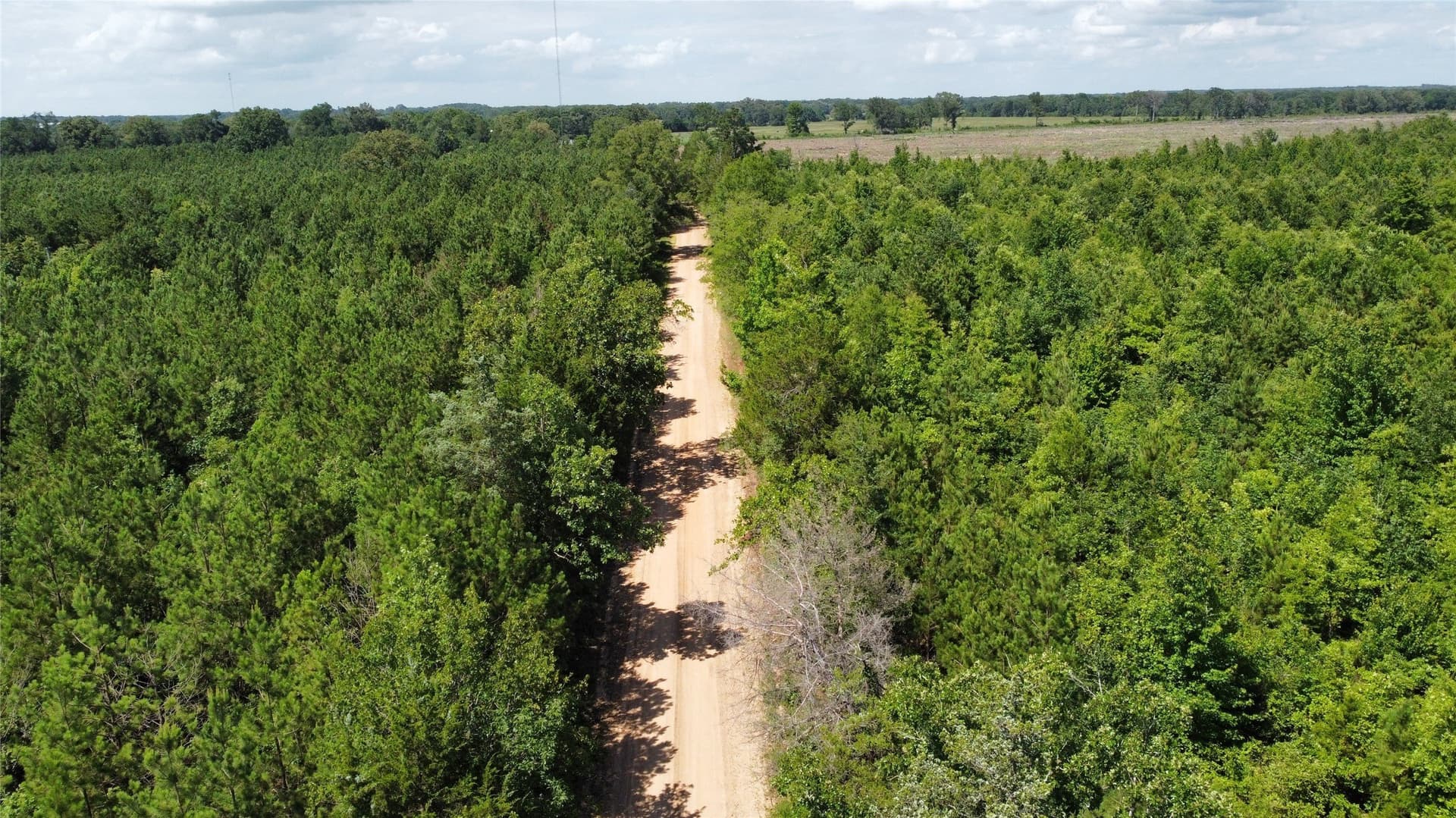 10.02 acres in Bowie County - photo 5