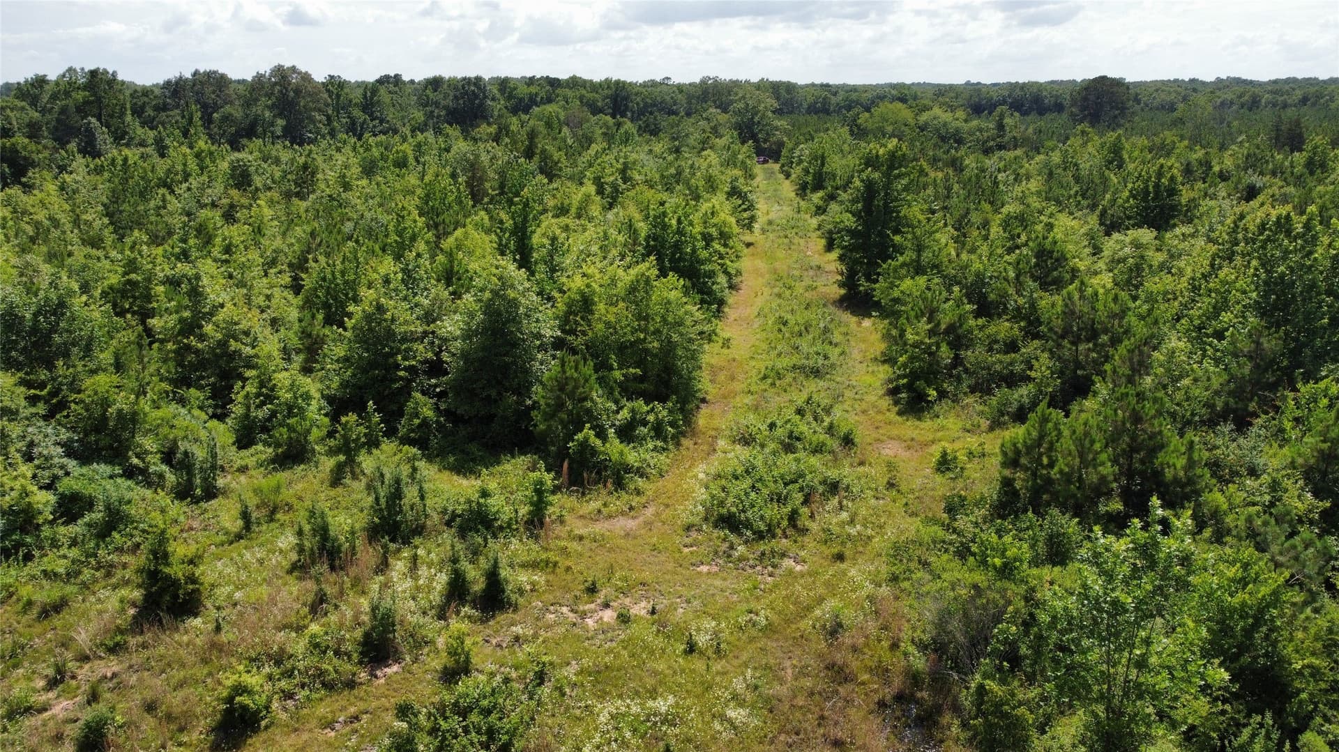 10.02 acres in Bowie County - photo 2