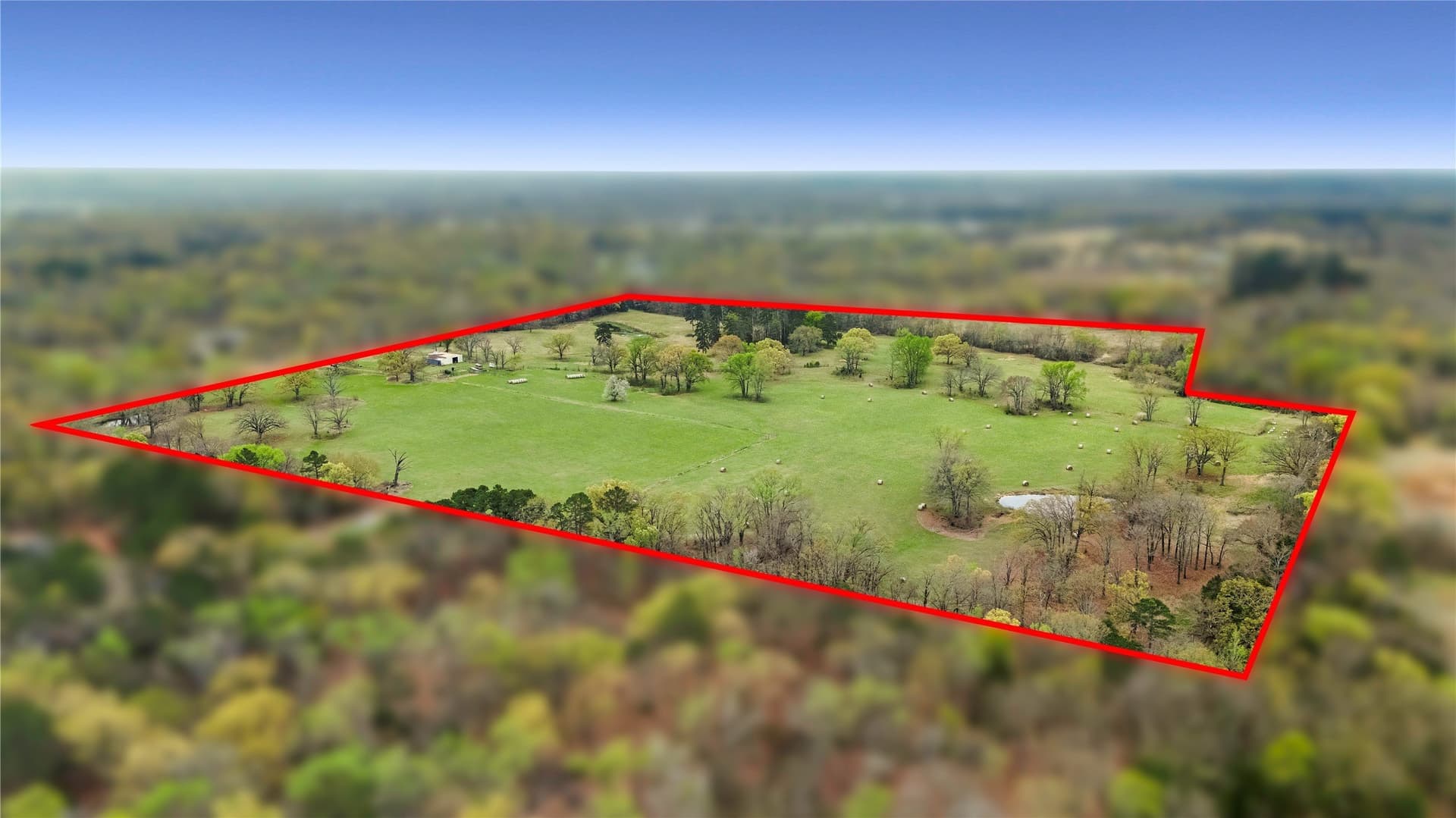 56.56 acres in Henderson County gallery image 4