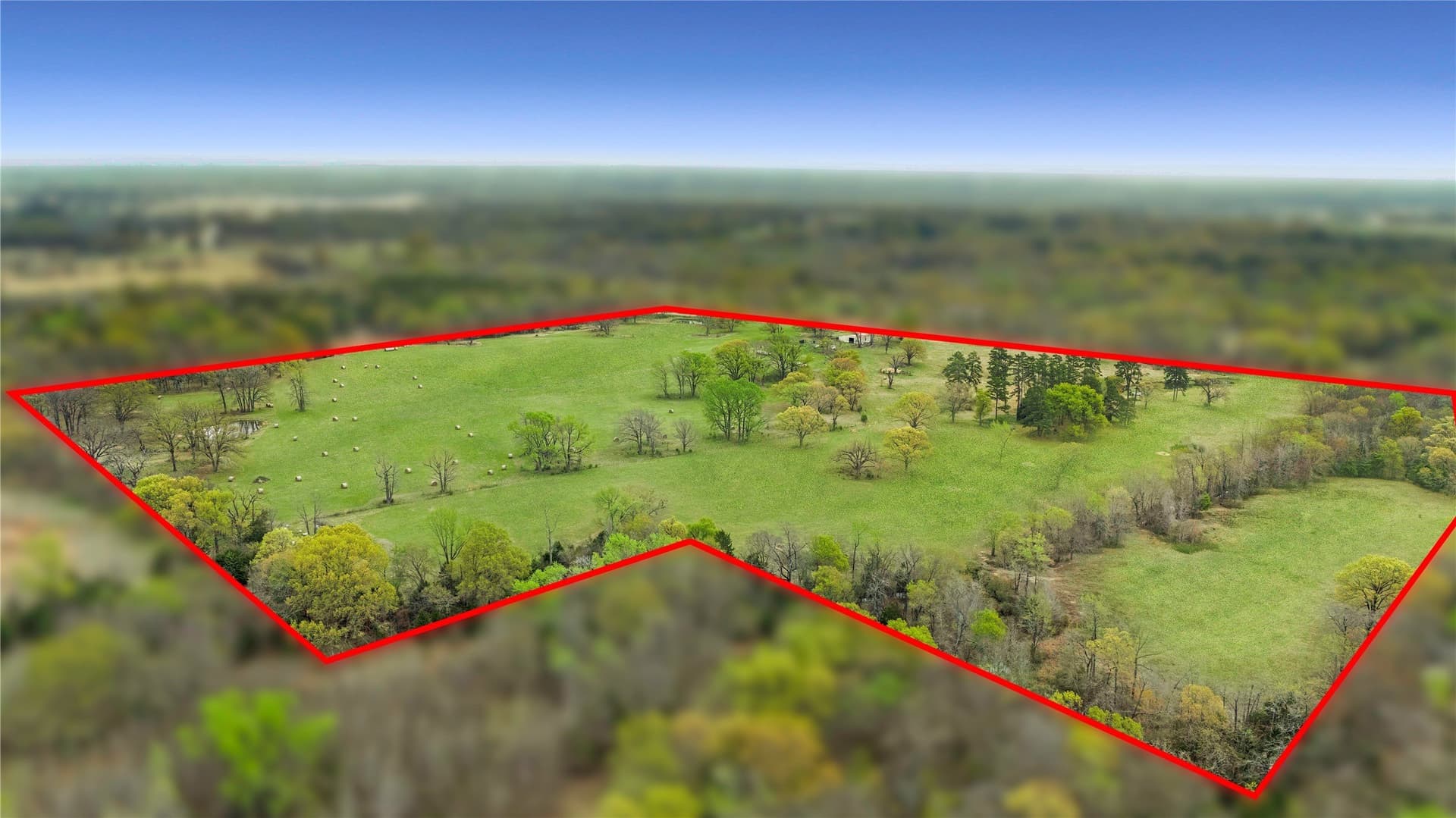 56.56 acres in Henderson County featured view