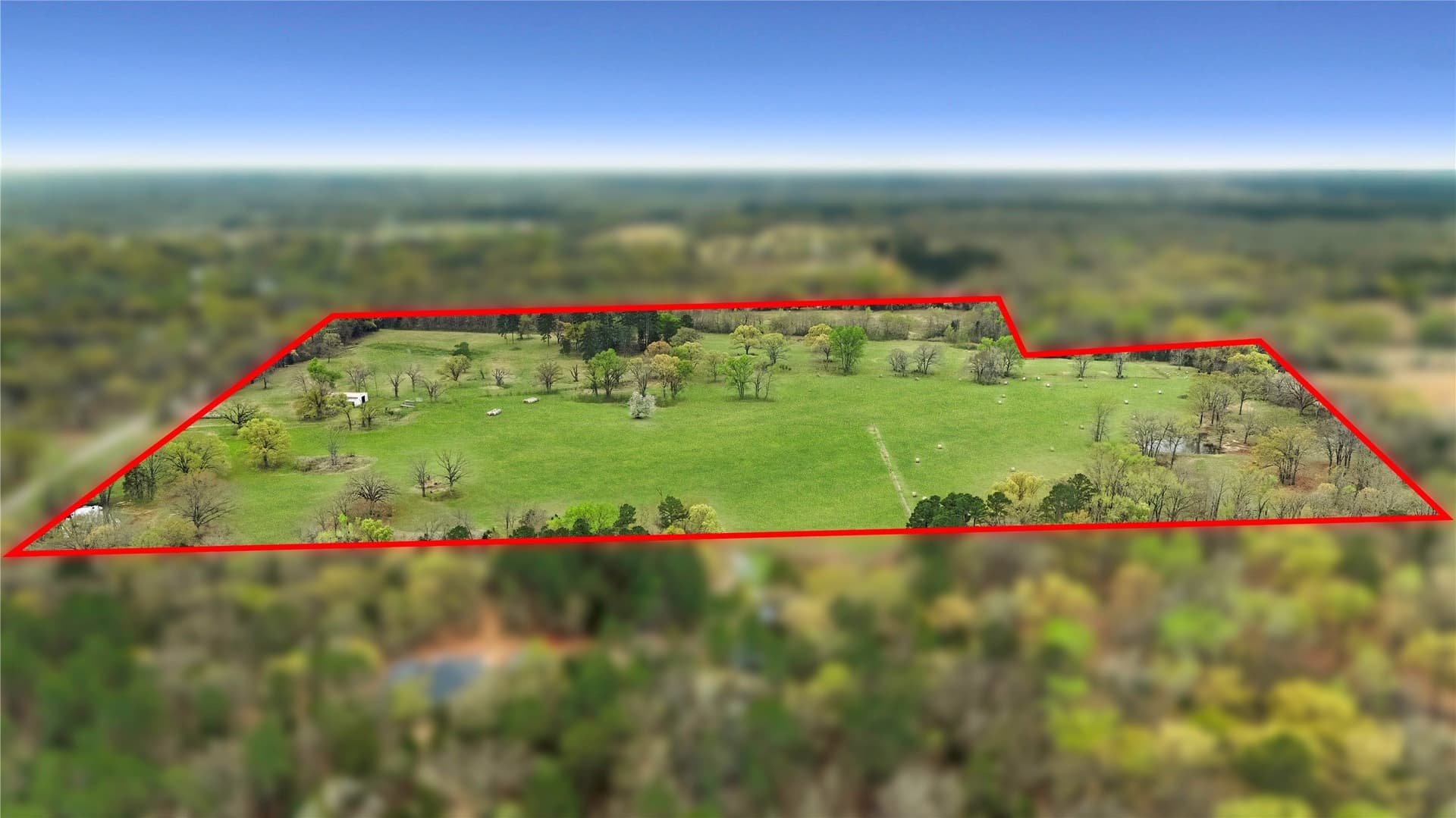 56.56 acres in Henderson County gallery image 3