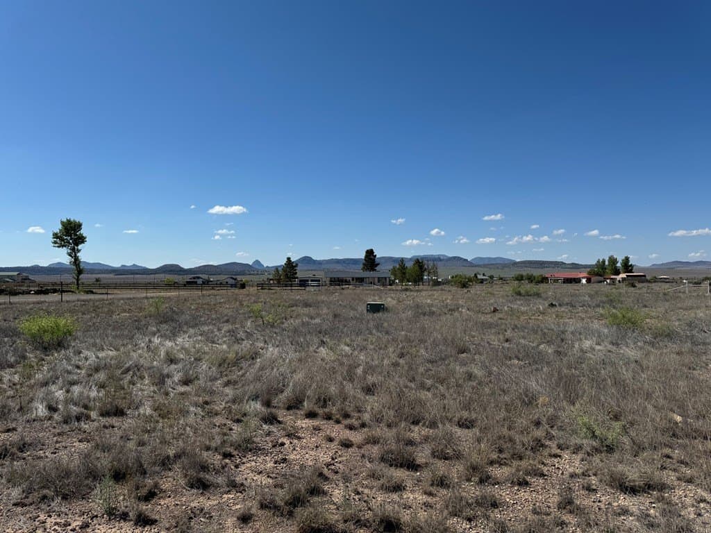 3 acres in Jeff Davis County - photo 11