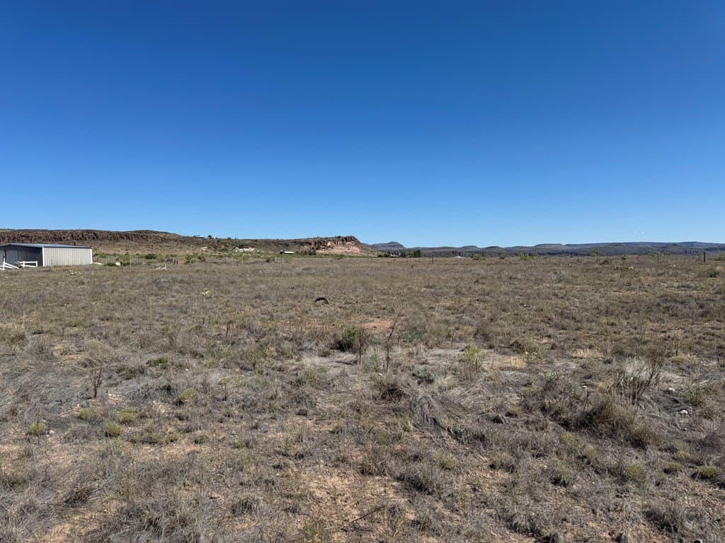 3 acres in Jeff Davis County - photo 7
