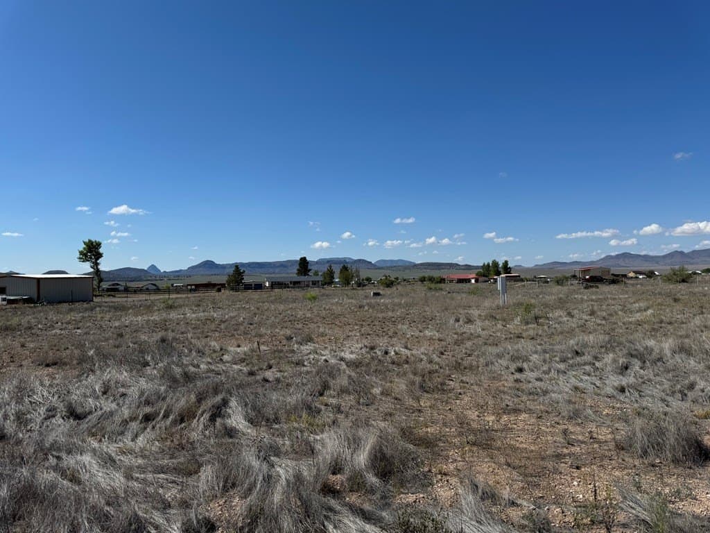 3 acres in Jeff Davis County - photo 13