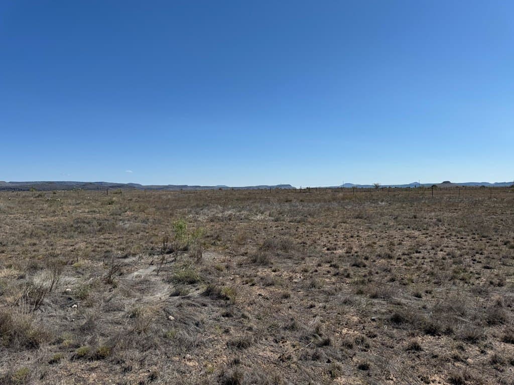 3 acres in Jeff Davis County - photo 8