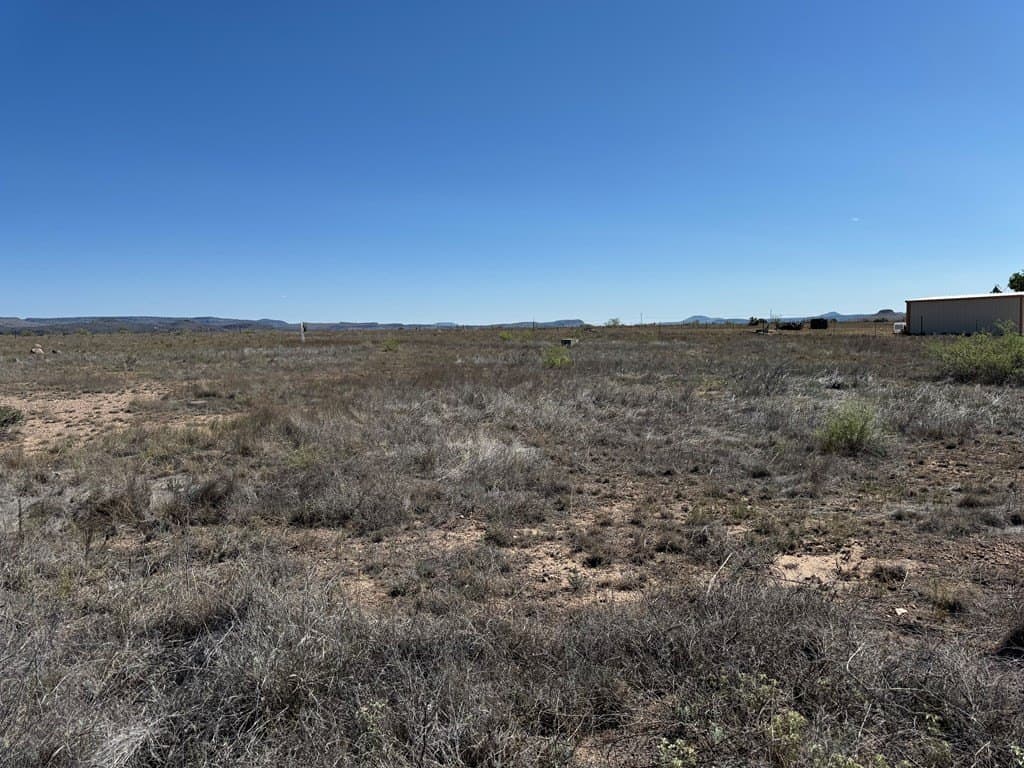 3 acres in Jeff Davis County featured view