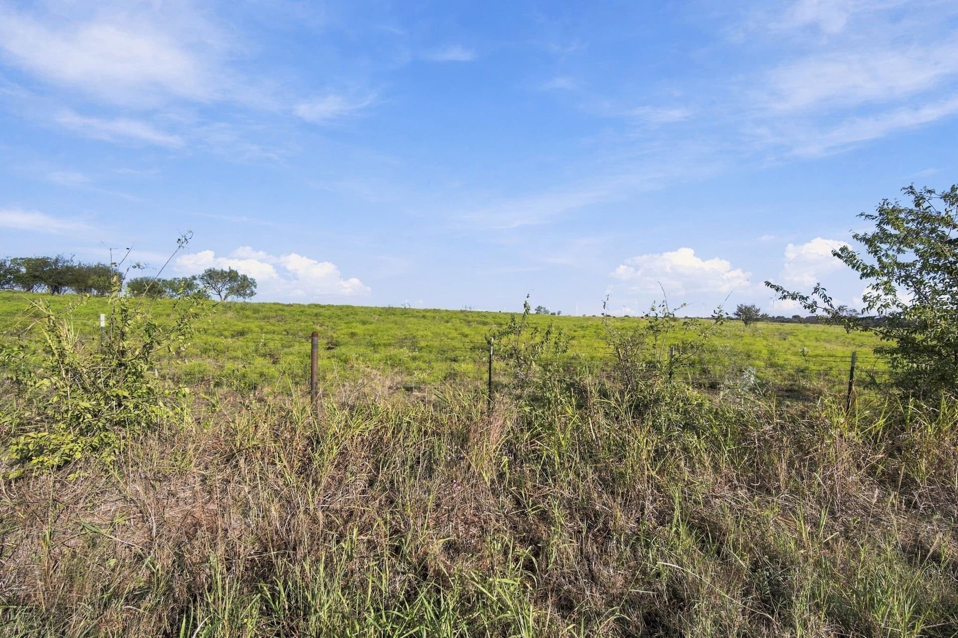 115 acres in Hill County - photo 23