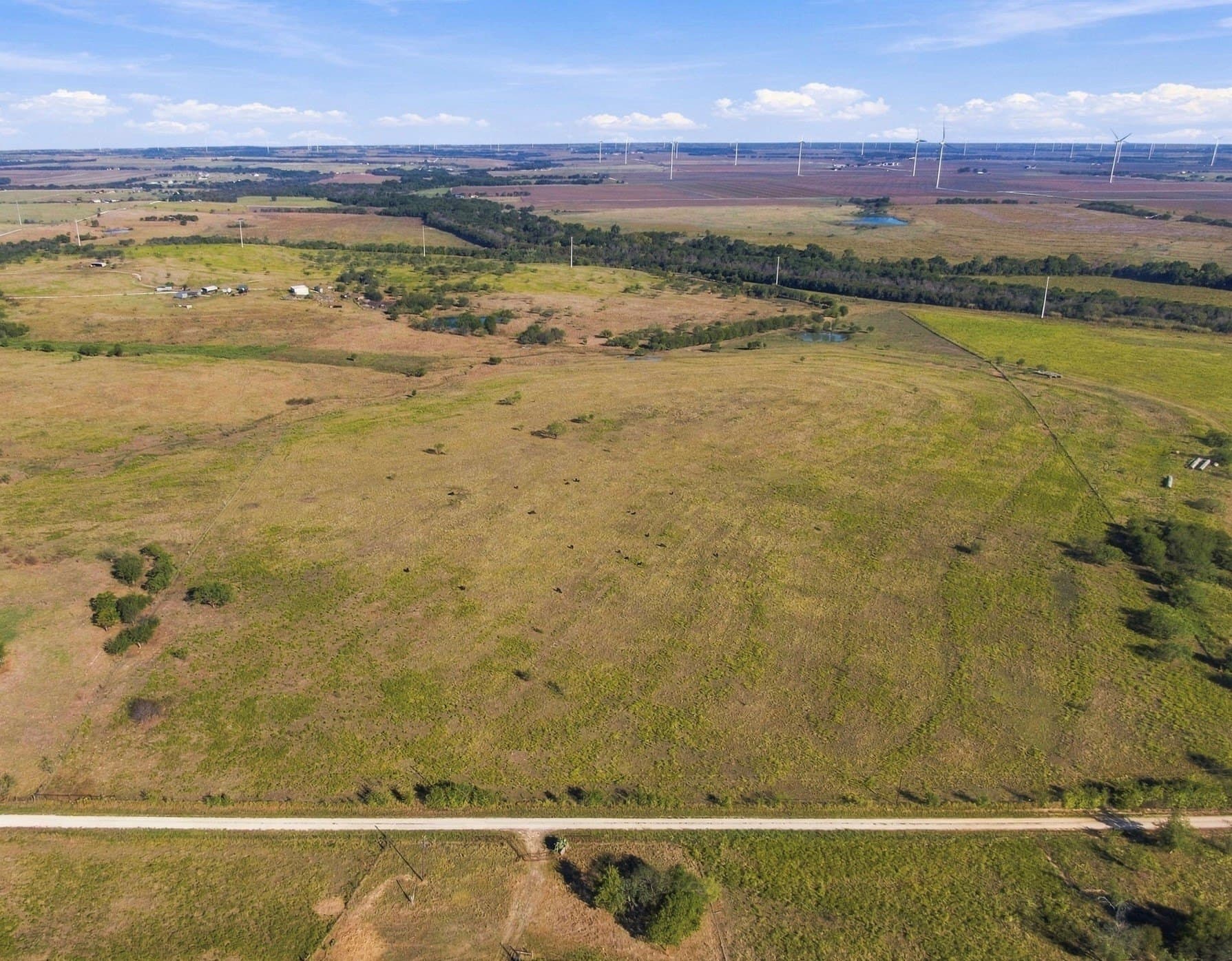 115 acres in Hill County - photo 5