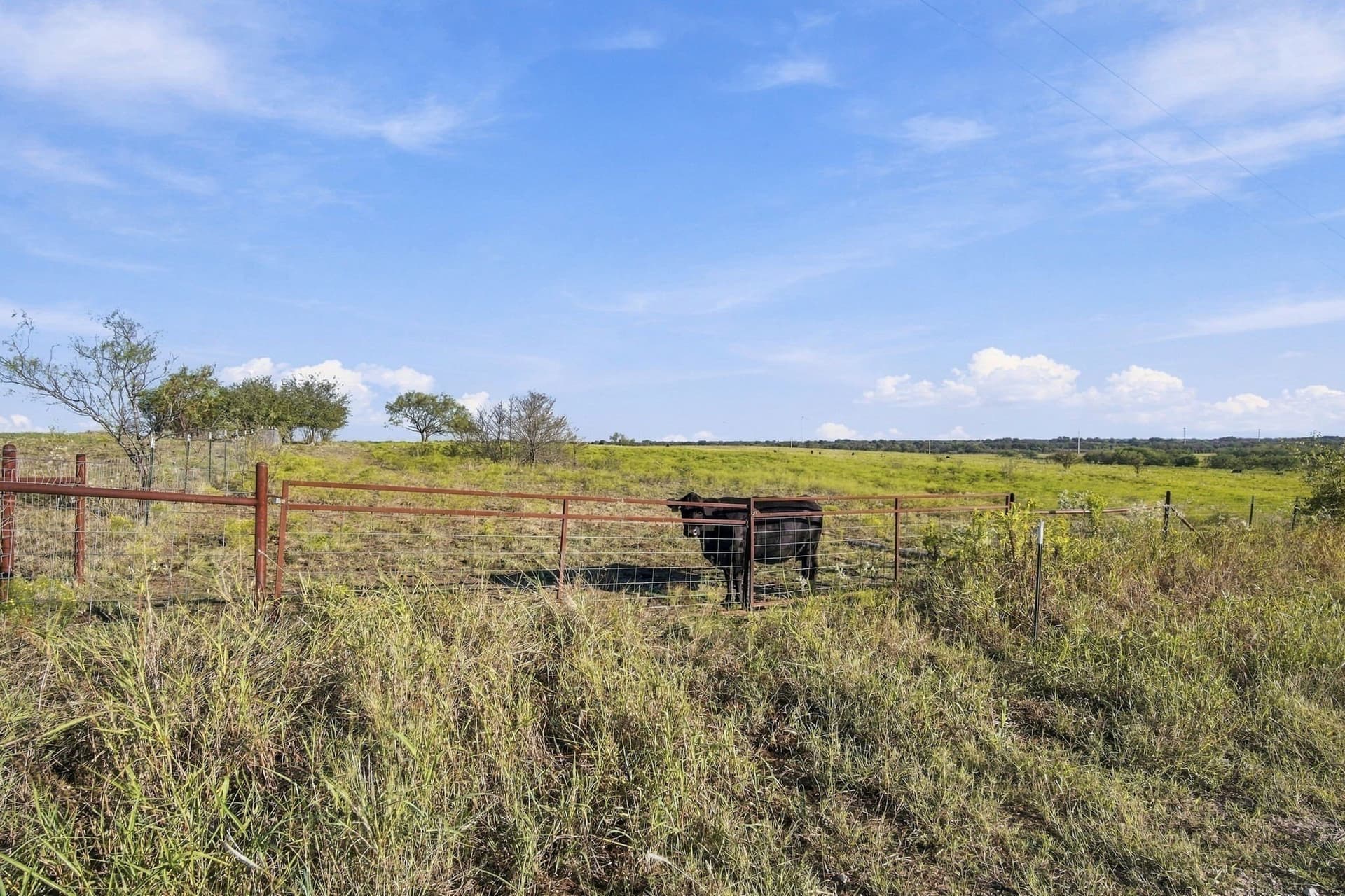 115 acres in Hill County - photo 16