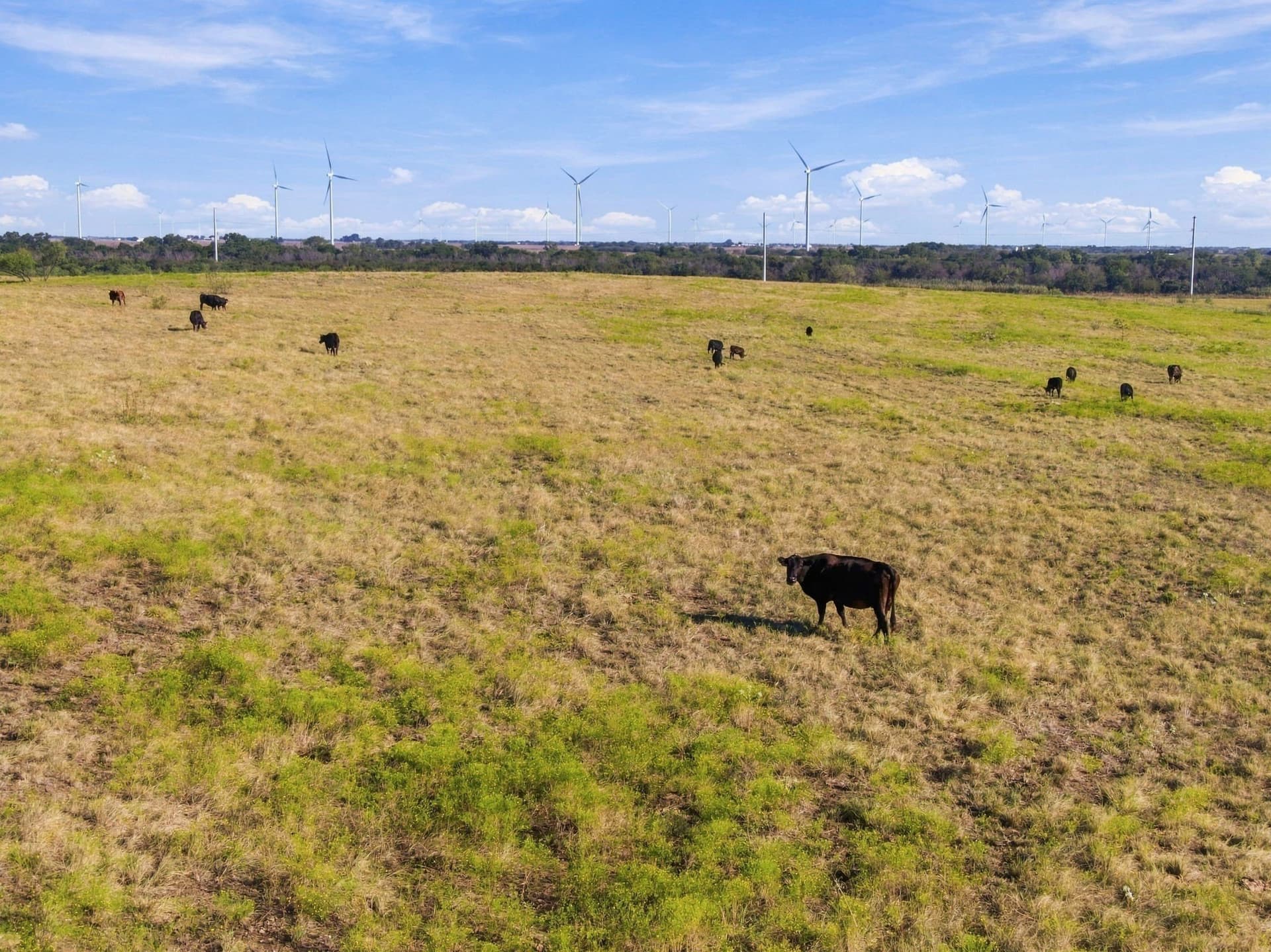 115 acres in Hill County - photo 20