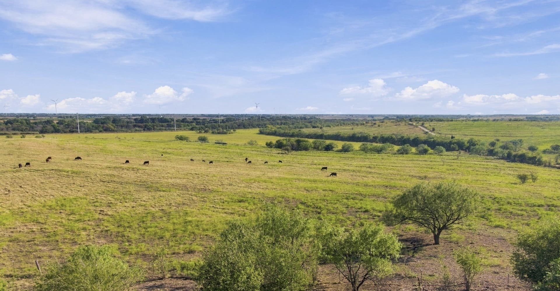 115 acres in Hill County - photo 22
