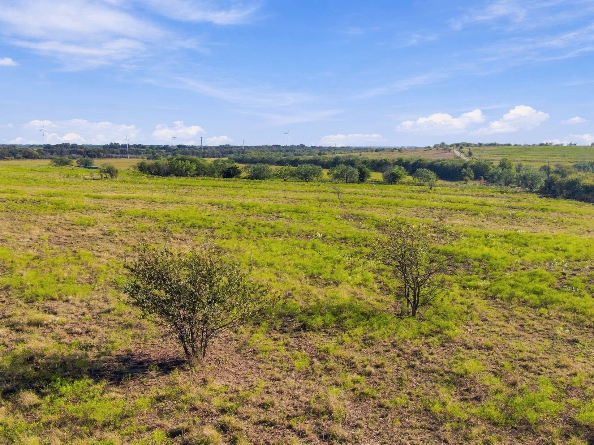 115 acres in Hill County - photo 21