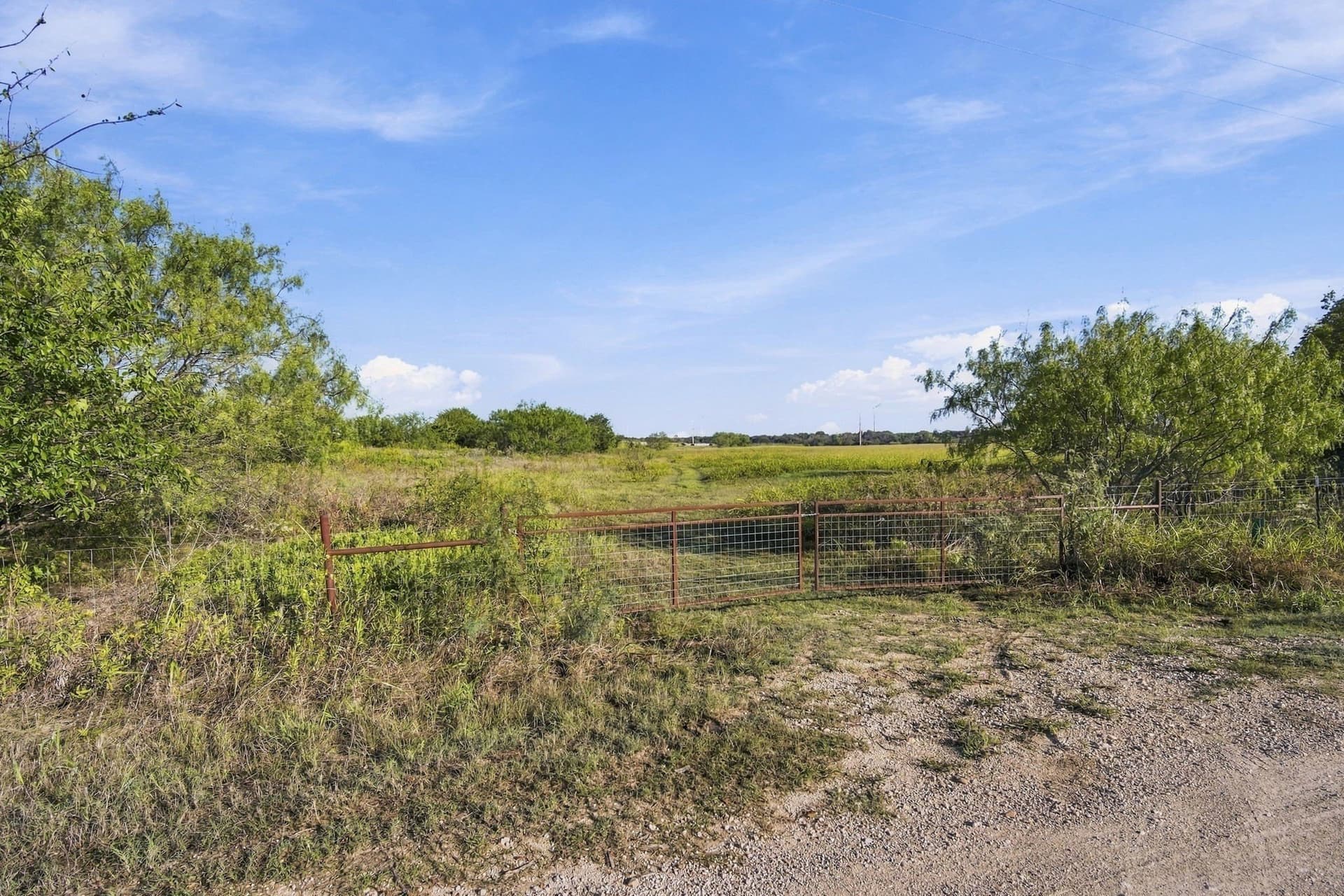 115 acres in Hill County - photo 17