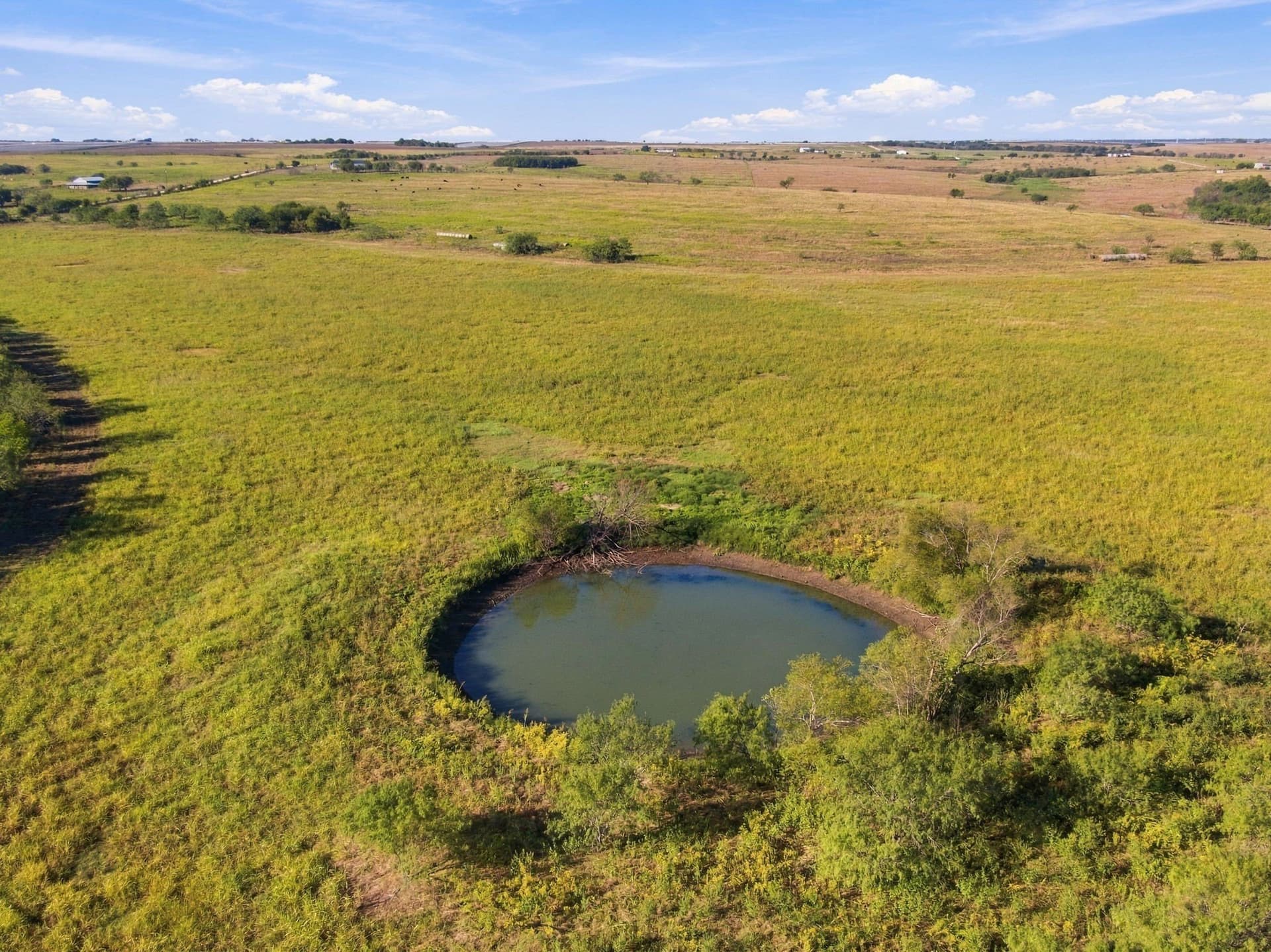115 acres in Hill County - photo 10
