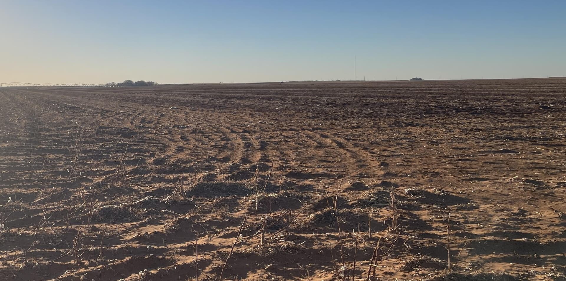 620 acres in Dawson County gallery image 4