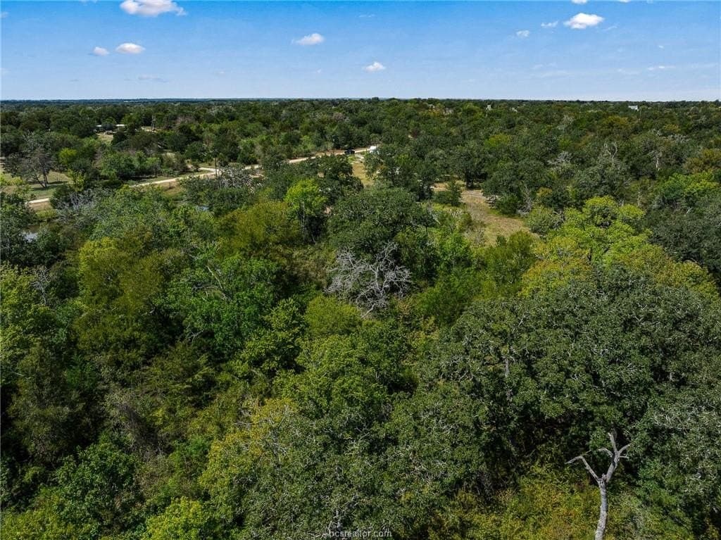 7.97 acres in Burleson County - photo 23