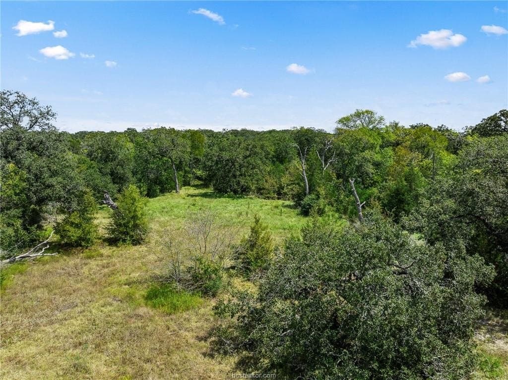 7.97 acres in Burleson County - photo 21