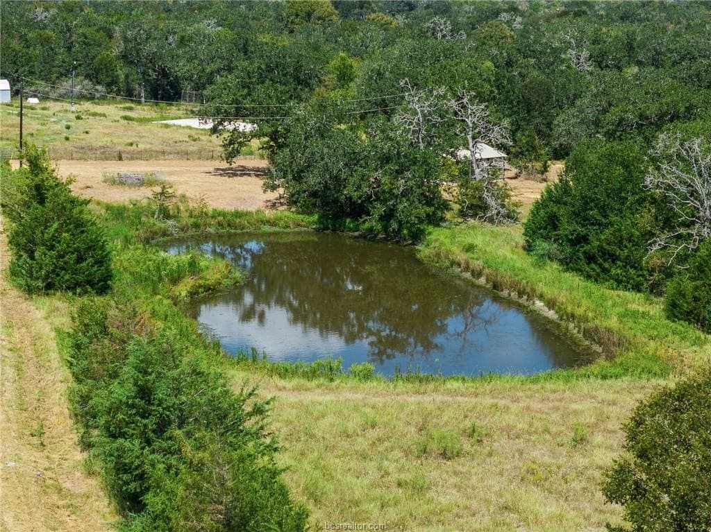 7.97 acres in Burleson County - photo 18