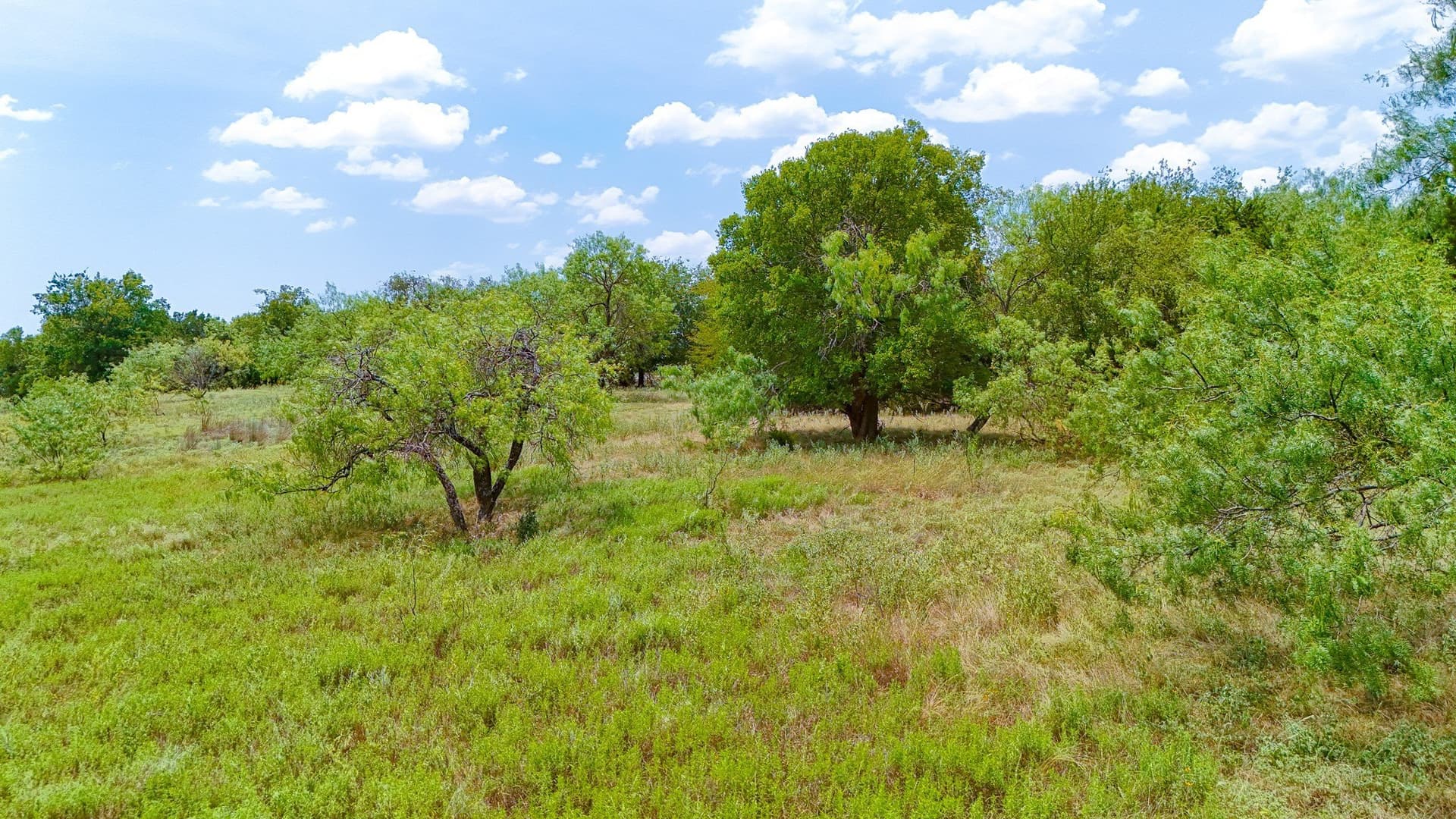 0.13 acres in Hill County - photo 6