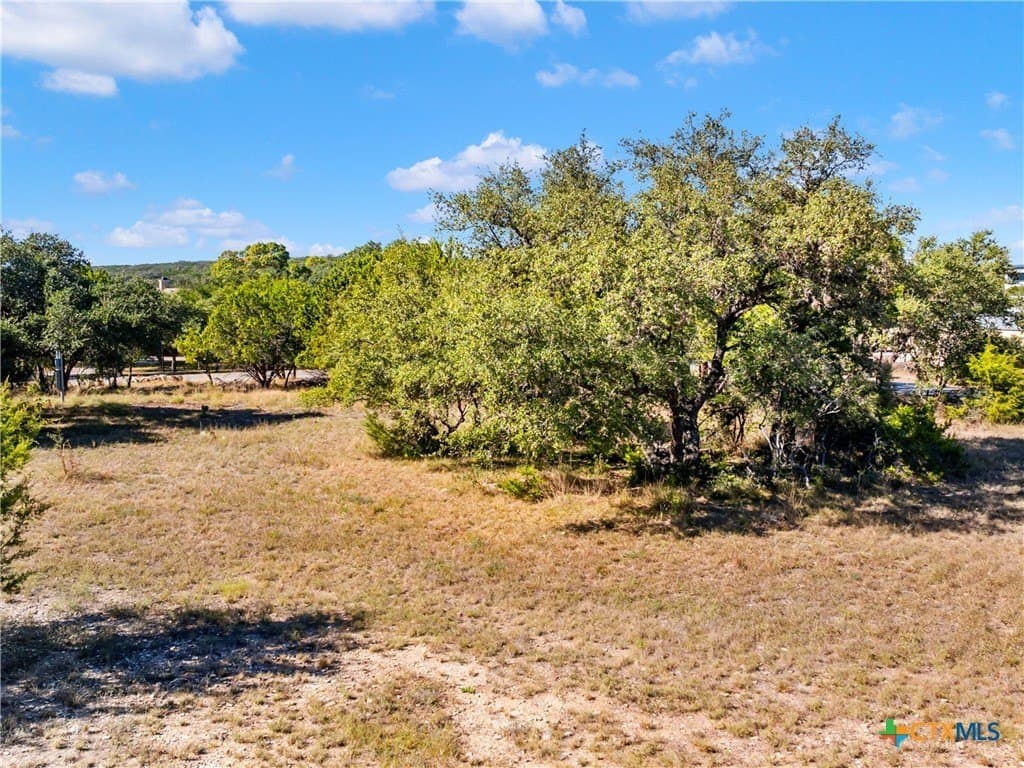 0.49 acres in Comal County - photo 15