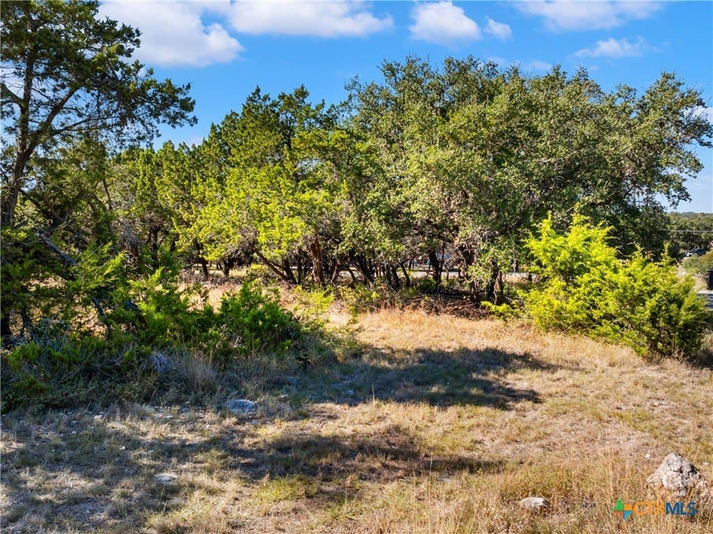 0.49 acres in Comal County - photo 9