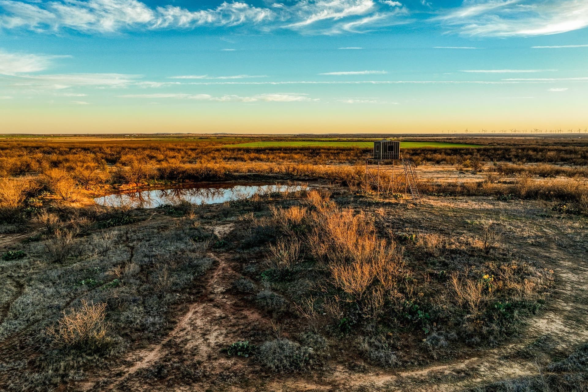 113 acres in Young County - photo 3