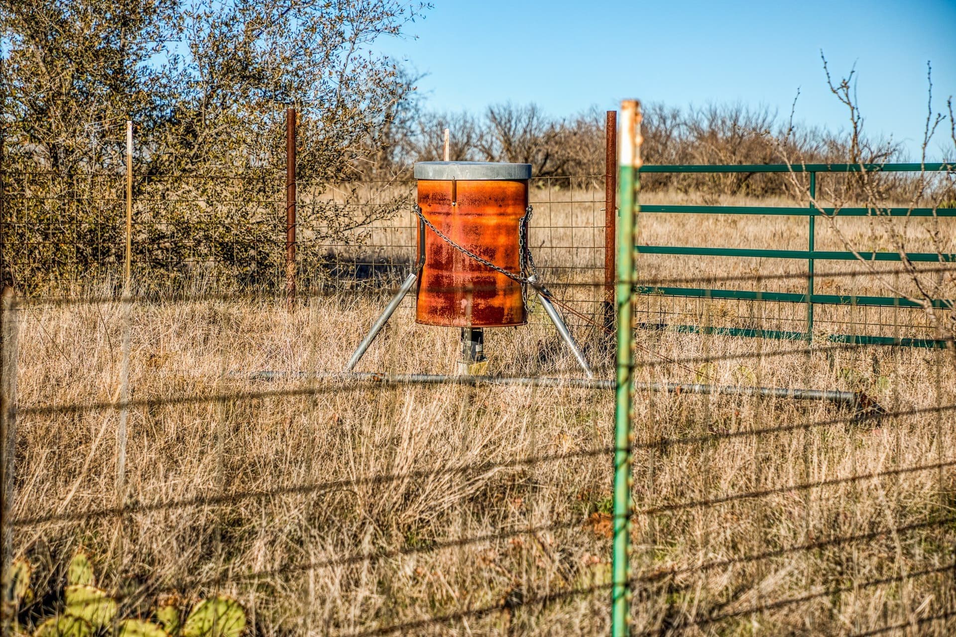 113 acres in Young County - photo 32