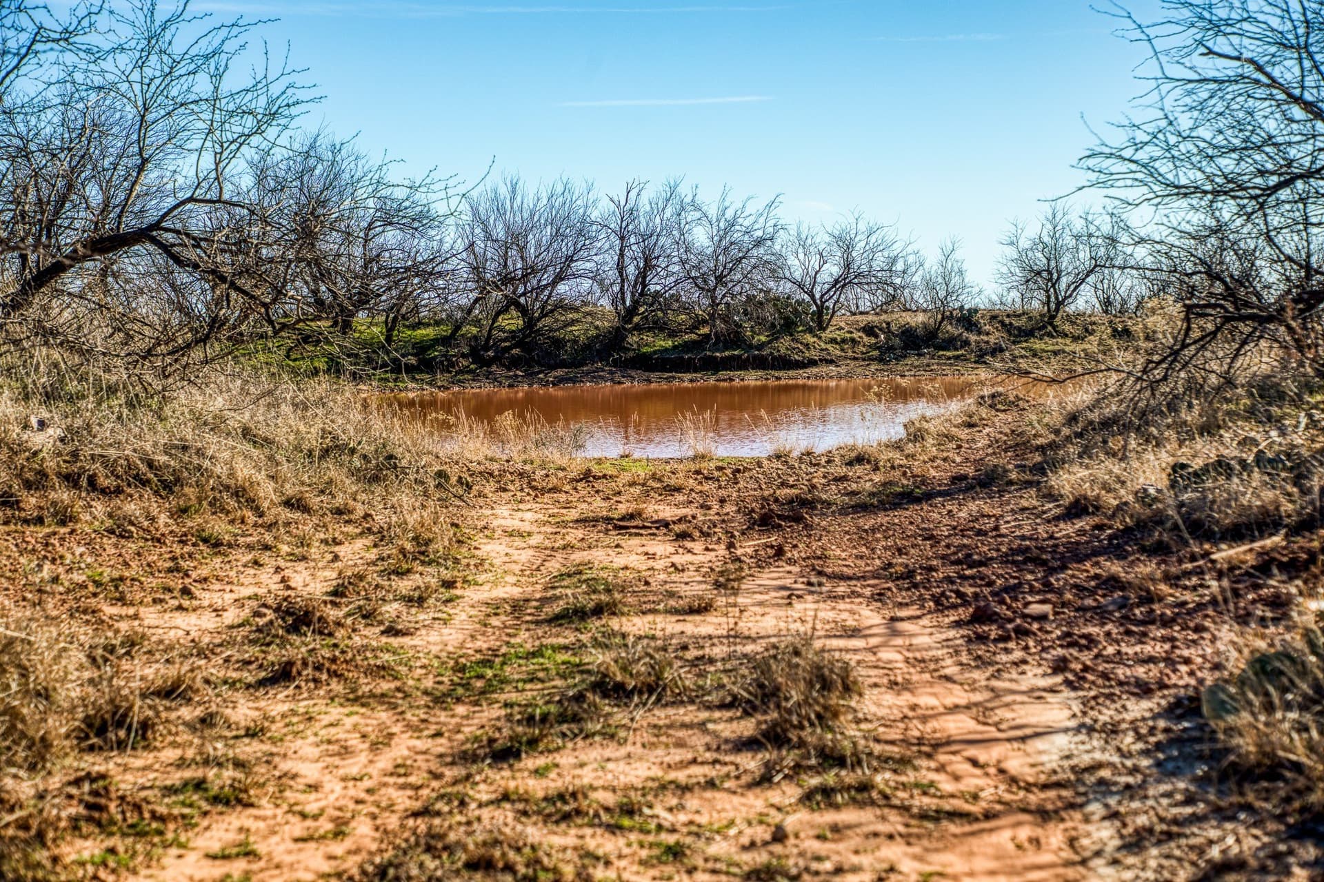 113 acres in Young County - photo 29