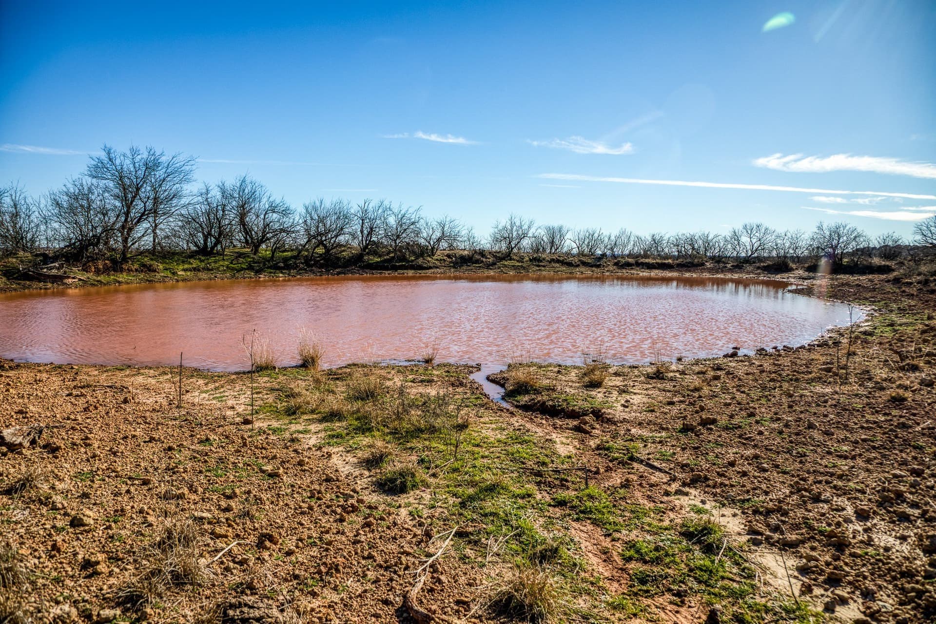 113 acres in Young County - photo 30